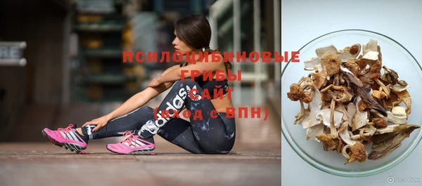 соль ск Абдулино
