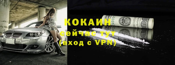твердый Абаза