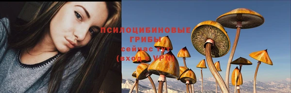 соль ск Абдулино