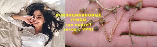 экстази Вяземский