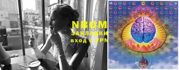 твердый Абаза